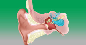 Ear diagram